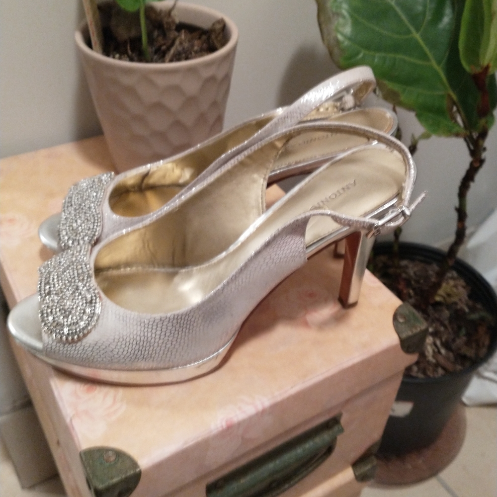 Silver sparkley pumps
